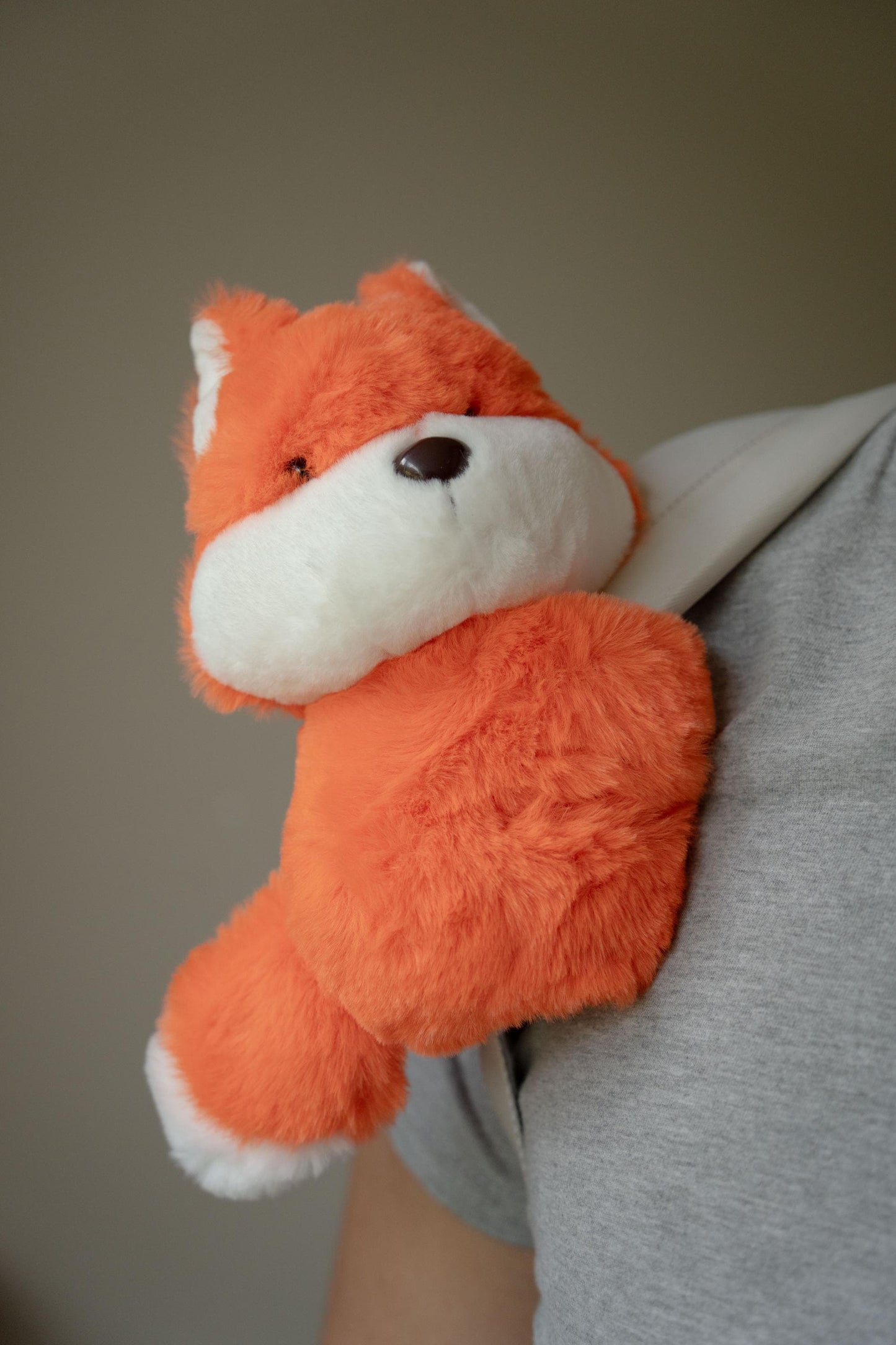 Fox Clingy