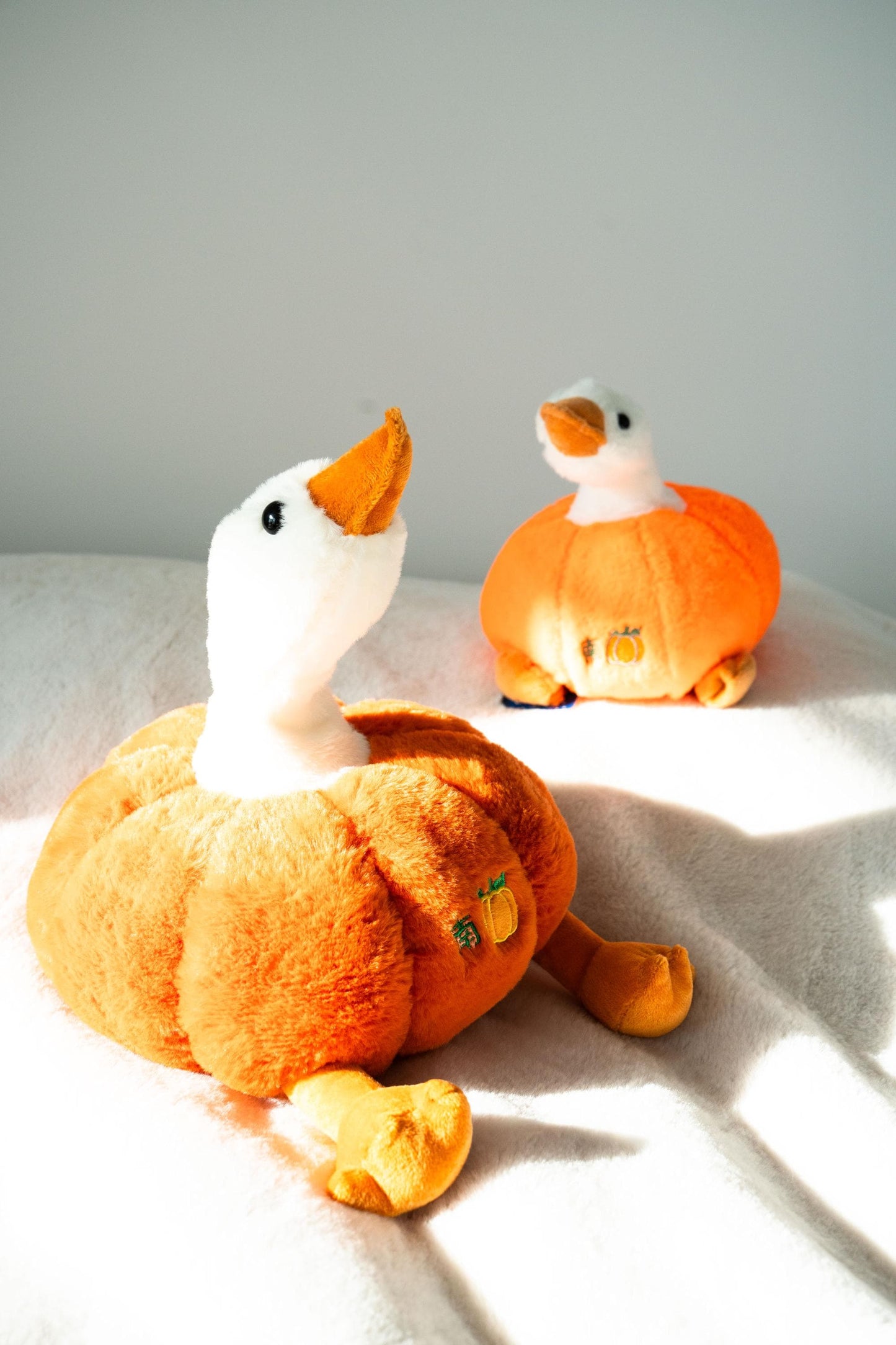 Pumpkin Duck